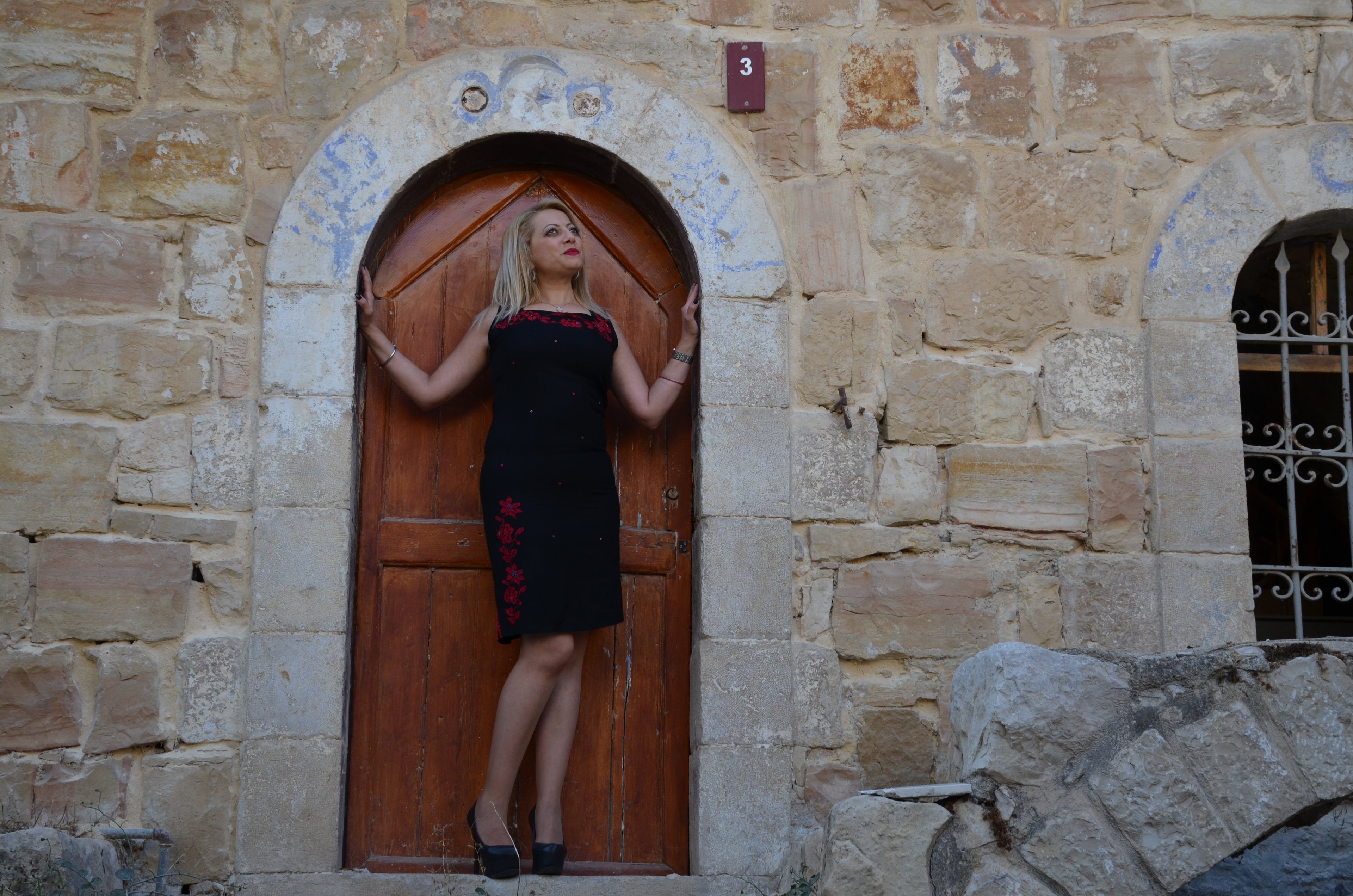 Hand-Embroidered Sleeveless Black Dress – Red Floral Palestinian Motifs